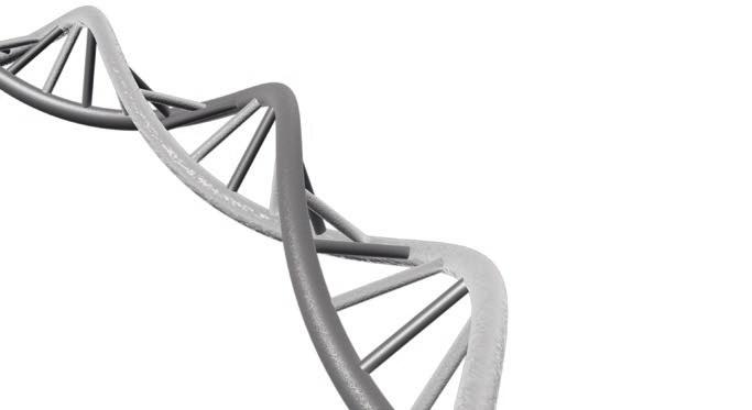 DNA A Når testen ankommer testselskapet blir den fryst ned. Dette blir gjort for at man skal slippe å sende inn en ny test om man skulle ønske å ta en annen type i fremtiden.