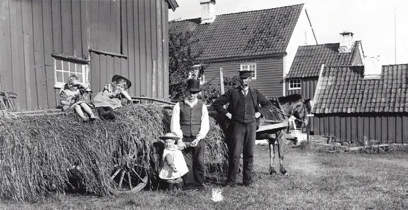 Folk bodde stort sett på landet, litt under 40 prosent bodde i byene. Fra 1905 hadde man hatt en god økonomisk utvikling, etter en lang periode med dårlige tider og enorm utvandring på grunn av dette.