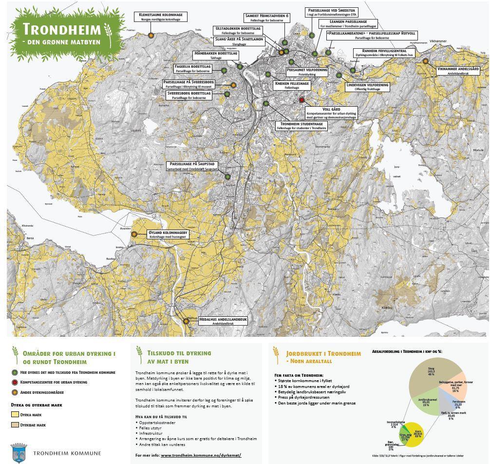 Illustrasjon: Trondheim kommune