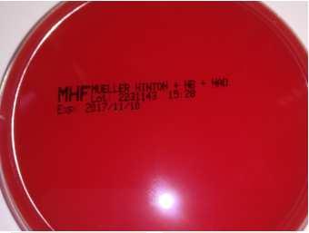 Mueller Hinton Hurtigvoksende mikrober Mueller Hinton fastidious (MH-F) Mueller Hinton tilsatt