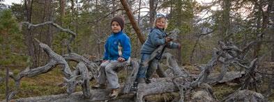 Landskapet veksler fra bratte fjell og dype elvekløfter til åpent, viddepreget landskap med slake dalsider og mykt avrunda fjellrygger og topper.