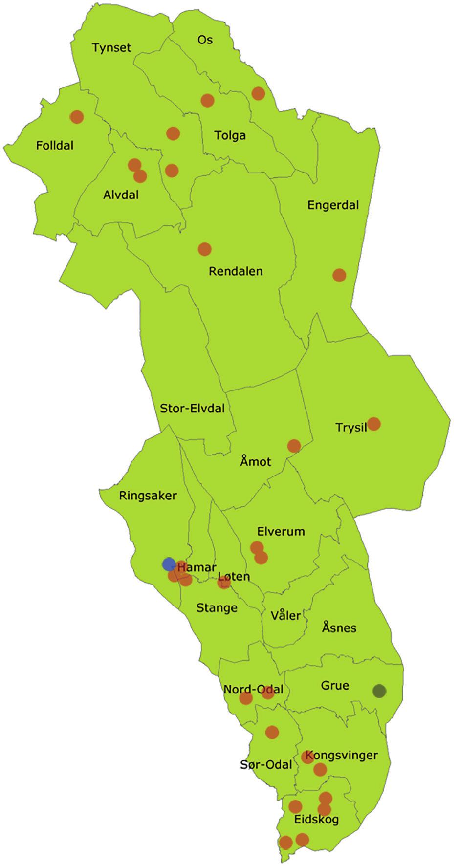 1.6 Museum som besøksmål I alt 276 168 besøkende ble registrert ved museene i Hedmark i 215 (Anno museum, Norsk Jernbanemuseum og Norsk skogfinsk museum), noe som tilsvarer 1,4 besøk per innbygger i