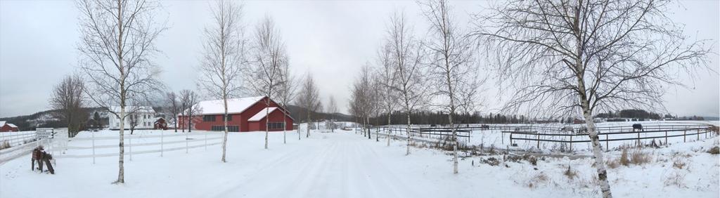 PLANBESKRIVELSE DETALJREGULERING 31 7.3.2 Alternativ 1: Ny bebyggelse konsentrert til tunet Illustrasjonen viser ny bebyggelse innmontert i de to panoramafotoene av kulturlandskapet ved Bolstad Mellom.