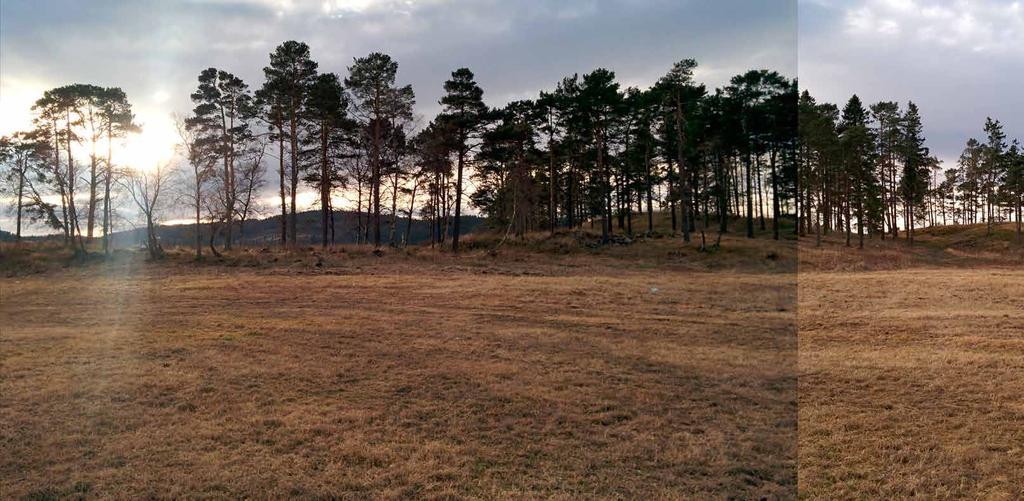 den SISTE SEREMONI et livssynsåpent seremonibygg på charlottenlund Gravplass Trine