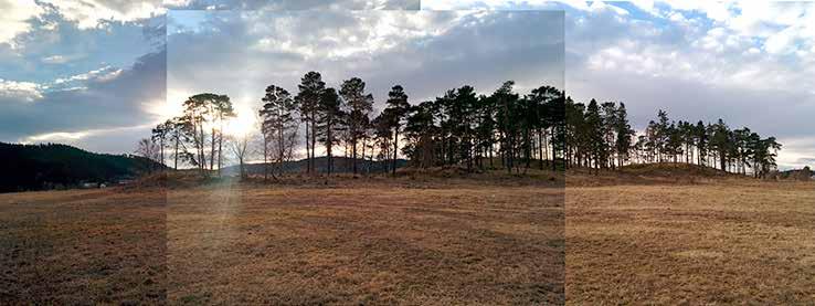 Prosesj on svegen e g en DET LILLE SEREMONIROMMET I SKOGEN Nordvestre ankomst 3 1 Åkerholmen Åkerholmen sett mot sørvest, fra gravplassens hovedankomst