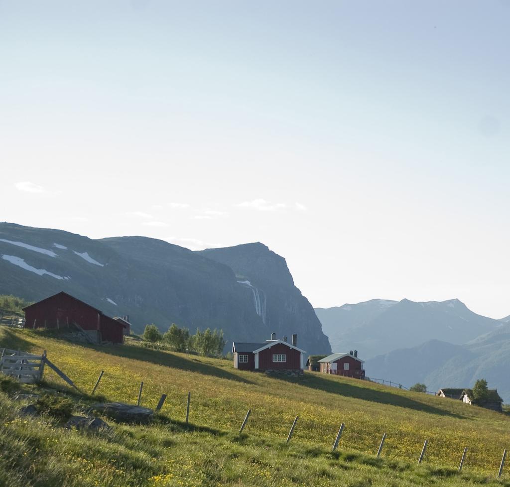 BAKGRUNN/HISTORIKK For å etablere en standard, er nasjonale føringer.