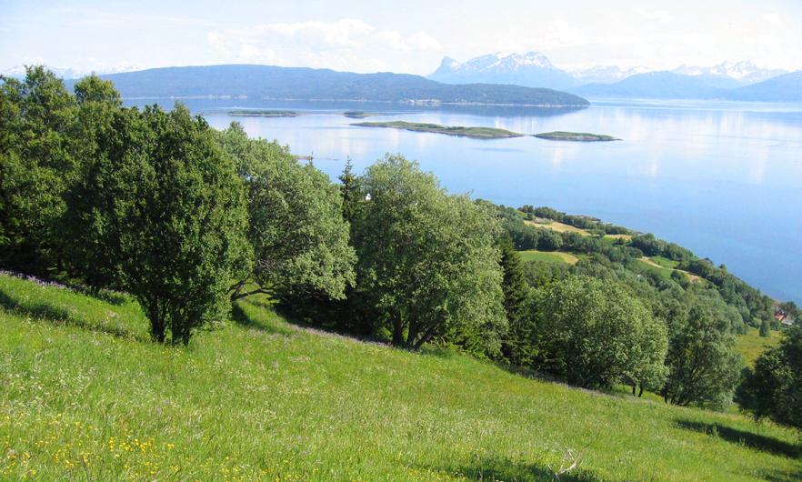 Vollen Liland Osmarka - Laksåfjellet (Ev. 3) Lokalisering og geologi: Det kartlagte området dekker deler av Vollen, Liland, Kleggåsen, Rømmeråsen, Osmarka og Laksåfjellet.