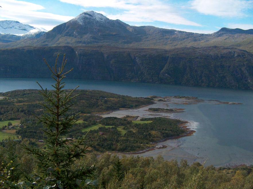 områdene. Også her dominerer den laveste kubikklassen. Opp mot 300 400 m o.h. har de klimatiske forholdene stor betydning for skogproduksjonen. Furuskogen har stor variasjon i kvalitet og volum.