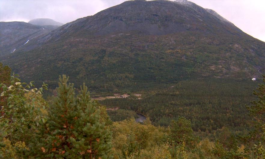 200 m o.h. lengst inn. Geologien består av granittiske grunnfjellsbergarter, men mektige elveavsetninger i dalbunnen gir området en mer næringsrik karakter enn hva berggrunnen skulle tilsi.