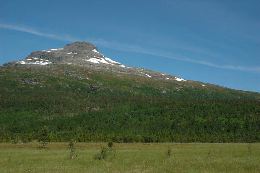 dominert av produktiv lauvskog med god tilvekst, det aller meste som gammel skog. En stor del av lauvskogen er klassifisert til kubikklassen 5-12 m 3 /da og en betydelig del i klassen over 12 m 3 /da.