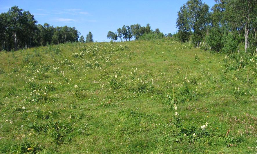 Beitevoll ved Fisketjønna, Tårstad, Evenes. Foto: Michael Angeloff UPRODUKTIVE OG BEBYGDE AREAL 12a Grus og sand Areal som er dominert av grus, sand og jord. Vegetasjonsdekket er mindre enn 25%.