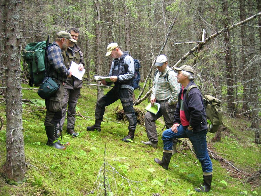 Som basisregistrering ble det utført vegetasjonskartlegging etter Skog og landskap sitt system for oversiktskartlegging (Rekdal & Larsson 2005).