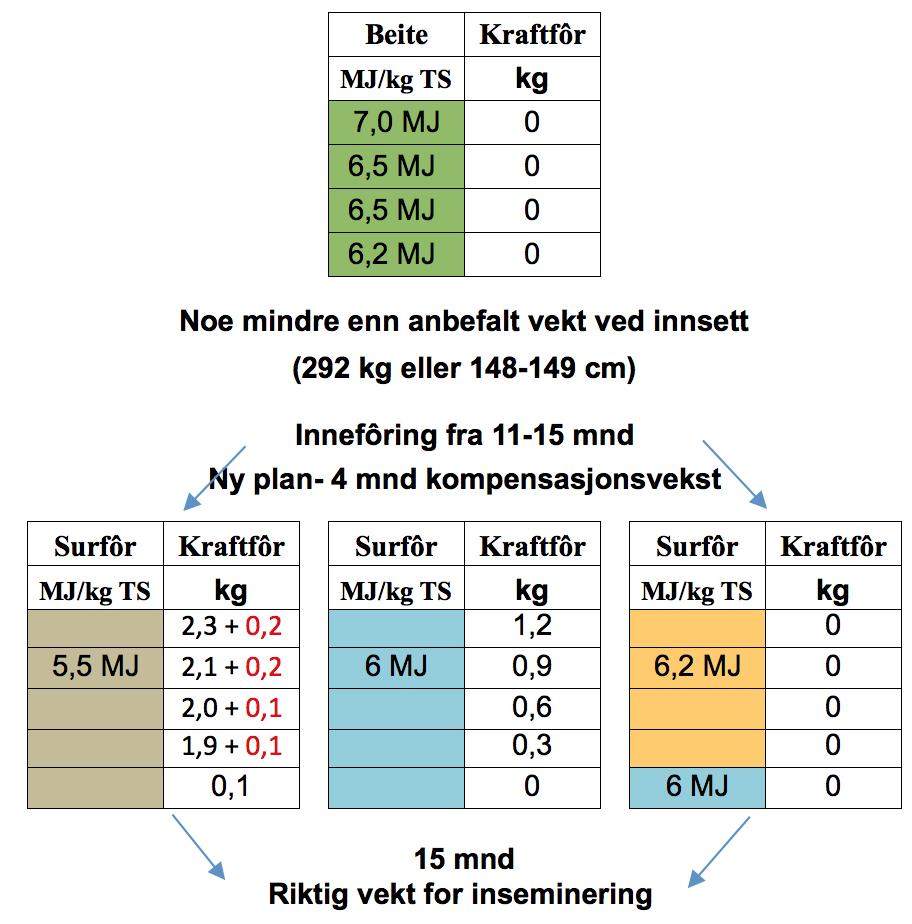 Tilvekst på beite uten bruk av kraftfôr De aller fleste vil av praktiske grunner unngå å bruke kraftfôr i beiteperioden. Dette eksemplet illustrerer hva som da skjer om beitet er godt.