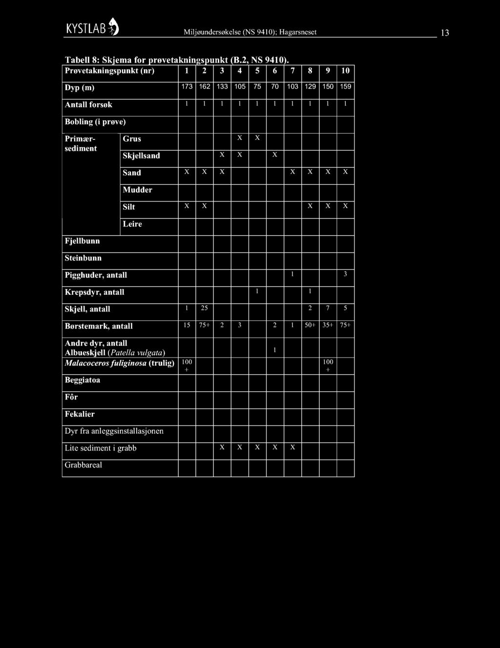 X X Skjellsand X X X Sand X X X X X X X Mudder Silt X X X X X Leire Fjellbunn Steinbunn Pigghuder, antall 1 3 Krepsdyr, antall 1 1 Skjell, antall 1 25 2 7 5