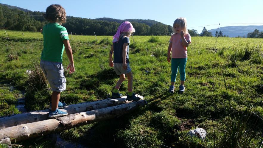 Vi vil fokusere både på: Barnas og barnegruppenes behov og utvikling gjennom et barnehageår basert på en steinerpedagogisk forståelse av vårt