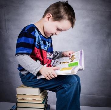 grunnskoler og videregående skoler i samarbeid med Trondheim folkebibliotek. 75% stilling.