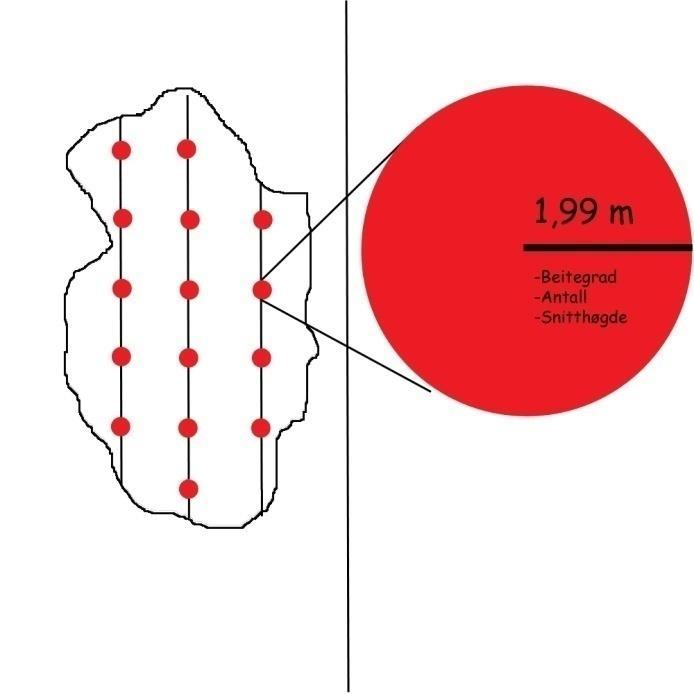 Feltarbeid Feltarbeidet ble gjennomført i perioden 30. april til 20. juni 2013, av Magnus Stenbrenden, Anne Engh Nylend, Ole Roer, Lars Egil Libjå og Morten Meland.