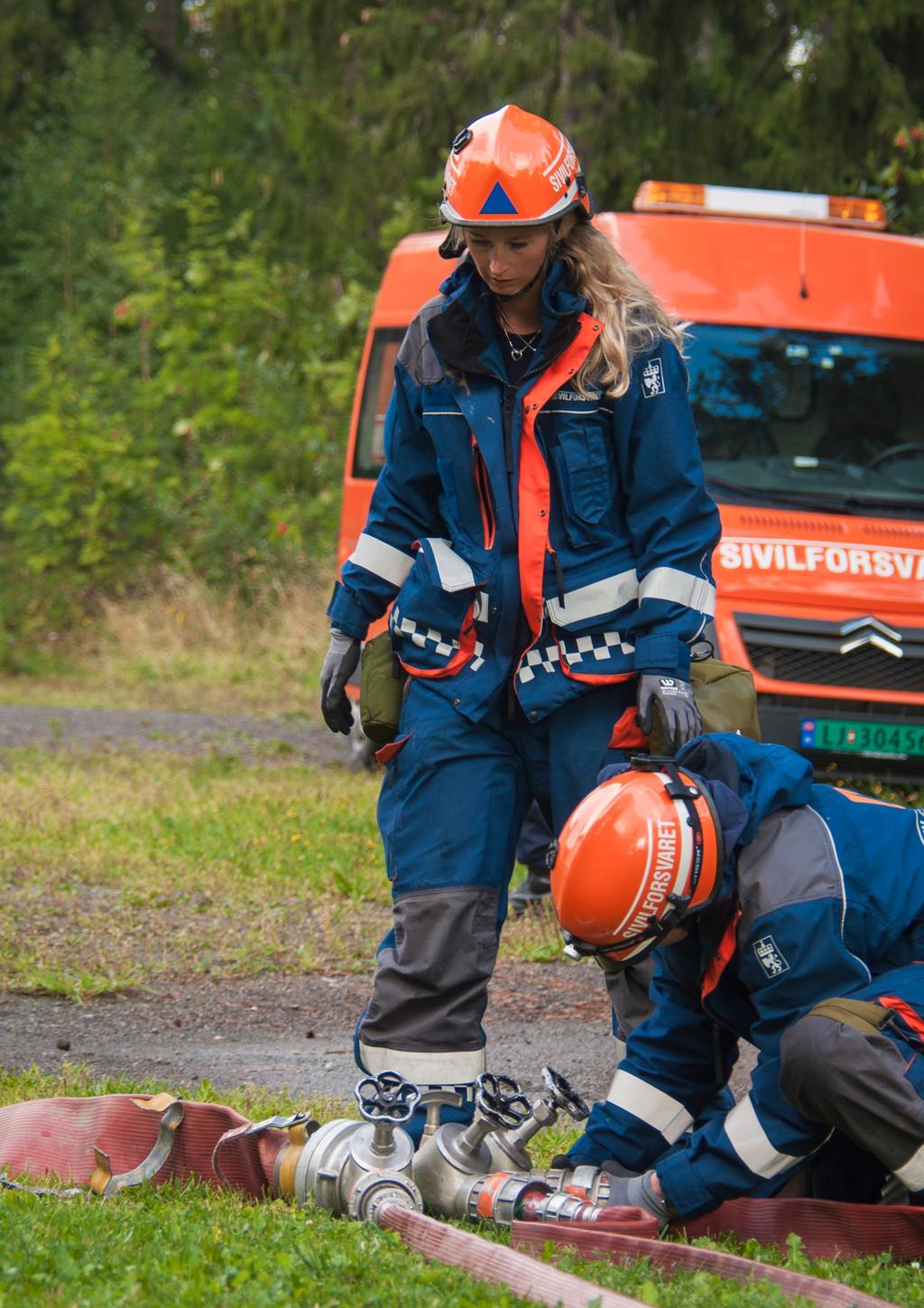 Sammendrag (Foto: Arild Ødegaard) 10