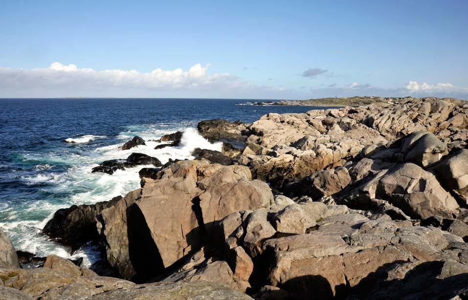 Figur 169. Ekstremt eksponerte strandberg, med vulkanske bergartar frå Vest-Karmøy eruptiv-kompleks. Figur 170. Innbakt i berget av granitt er såkalla xenolittar, dvs.