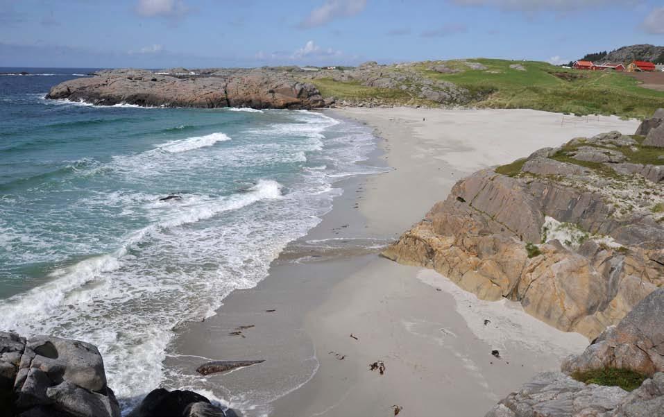 Figur 173. Sandvesanden sett frå sør. er høge og velutvikla og vegetasjonen er typisk for velutvikla sanddyneområde. På strandflata framføre dynene finst tangvollvegetasjon.