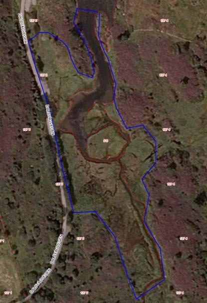 Karmøy, Torvastad, Dalsvågen 2 (strandeng) Kartblad: 1113 I Haugesund UTM: KL 85, 90 Kommune: Karmøy Inventør: Anders Lundberg Dato: Sist sjekka mot ortofoto i mars 2010.