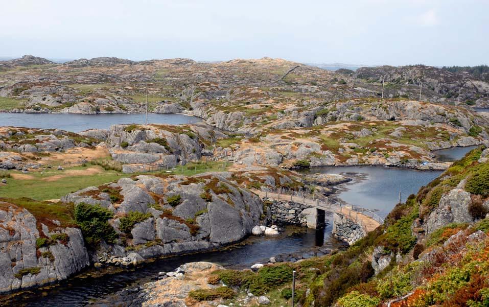 Figur 230. Nordaustre delar av Feøy, sett frå Ulvøy. H1c Tørr lynghei. Røsslyng-slåttestarr-torvull-utforming H2a Tørr gras-urterik hei. Fattig utforming H3a Fuktig lynghei.