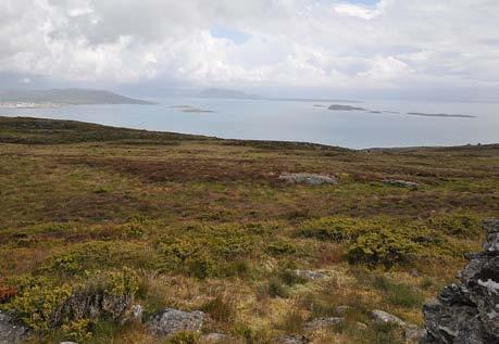 Figur 13. Kystlynghei på Vardefjellet, utsikt nordover. Figur 14. Kystmyr og lynghei, utsyn mot aust, mot Falkeidflæet-Nedstrandsfjorden. skuggefulle berg veks den kysttilknytta bregna blankburkne.