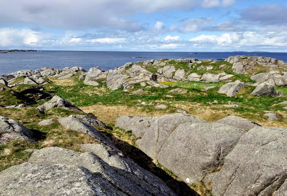 Figur 259. Stong sett mot vest. Tilstand: God Skjøtsel og omsyn: Naturbeitemarka er i aktiv bruk med beiting og dette bør halde fram.