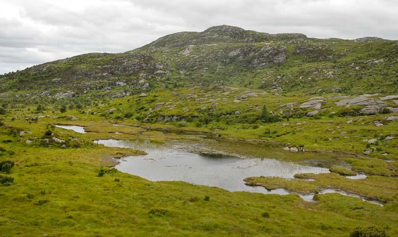 Figur 300. Valhest sett frå aust, med hei dominert av blåtopp og myr.