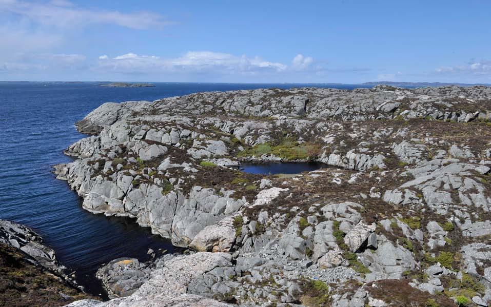 Figur 34. Oversiktsbilete som viser området dominert kystlynghei på skrinn jord og nakne berg.