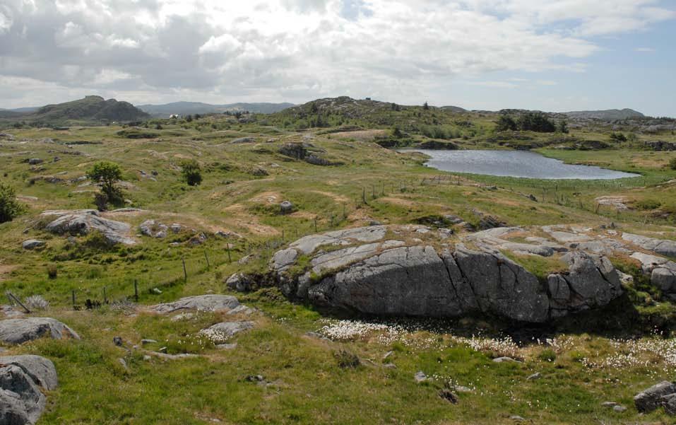 Figur 37. Gjødsla naturbeitemark, sørover. viser tydeleg igjen i vegetasjonen.