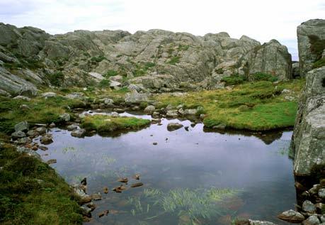 Sterkt oseanisk Lokalitetsomtale Beliggenhet/avgrensing/naturgrunnlag: Øya er 860 m lang langs ein akse sørvest-nordaust, og breidda varierer frå om lag 100 m i sør til knapt 500 m i nord.