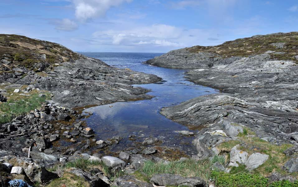 Figur 74. Kystlandskap med strandberg, fleirårige gras/urte-tangvollar, kystlynghei og gammal grasmark. Sjåvik. Figur 75.