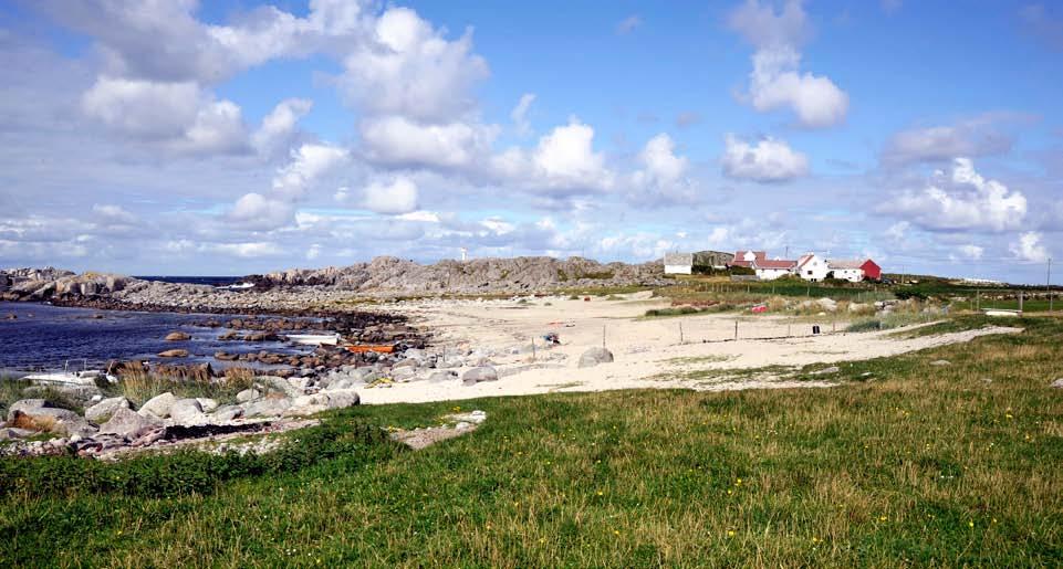 Figur 131. Sandstrand, rullesteinsstrand, beitemark og tun ved Nessjøen. U4a Nedre salteng, saltara-salteng. Fjøresaltgrasutforming U5a Øvre salteng, raudsvingel/saltsev-salteng.