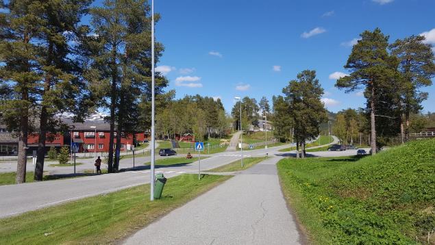 Innledning Trafikksikkerhetsplanen skal legge føringer for trafikksikkerhetsarbeidet i kommunen, og er gjeldende for perioden 2018 til 2021.