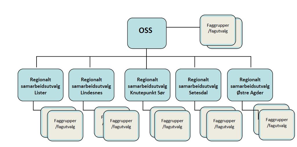 Samarbeid mellom kommuner og på tvers av nivå innen helse- og omsorg betyr ikke at den enkelte kommune ikke skal ha fokus på tjenesteutvikling i denne sektoren.