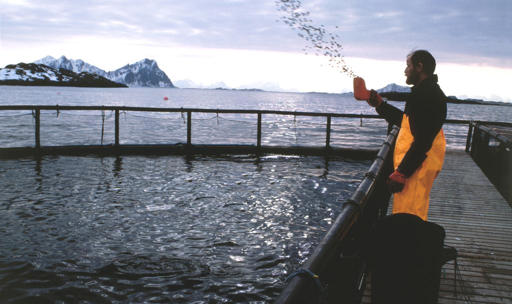 Fiskeridirektoratet region Nordland Fagområder mht