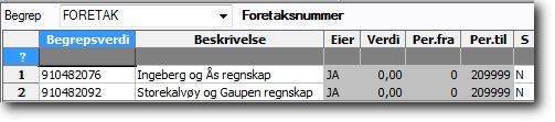 Dersom du har begrepet FORETAK (DM-kode MNAA) opprettet fra før kan du benytte dette som det øverste nivået. Du kan endre begrepsnavnet dersom du ønsker det.