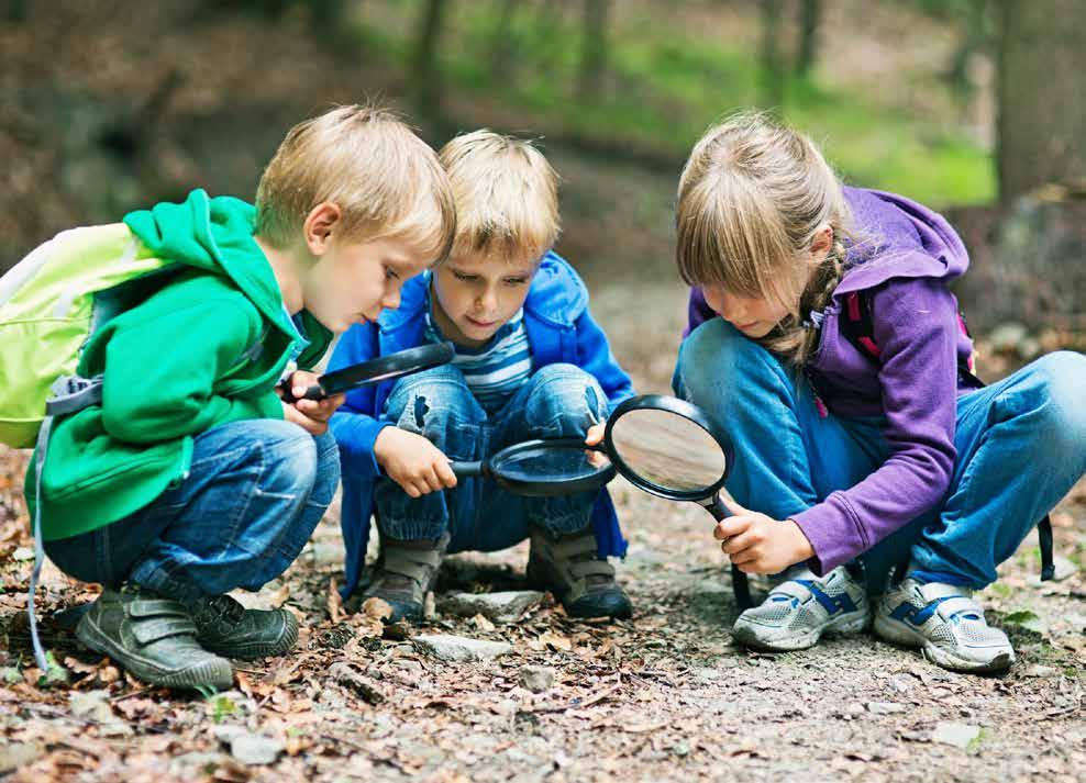 Målgrupper og marked Skoler og universiteter Barnehagebarn Skoleklasser Studenter Lærere Barnehageansatte Reiseliv Opplevelser og aktiviteter Kunnskap om natur, kultur, historie, og vitenskap