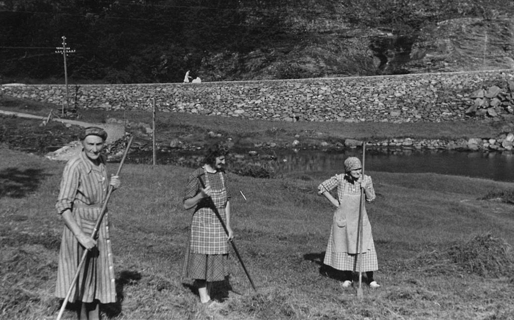 Gurine, Ragna, Ingeborg raker i Øyrabakkane