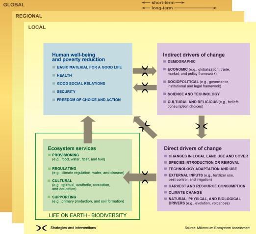 Helhetlig rammerverk for økosystemtjenester Human Well-being and Poverty Reduction Basic material for a good life Health Good Social Relations Human Well-being Security