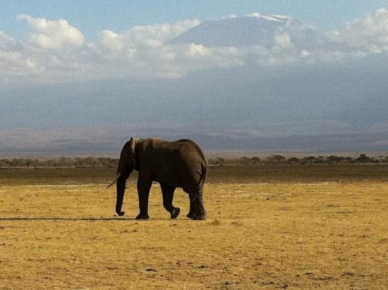 12. Tanzania Norge Separat billett Andre valgfrie aktiviteter ikke inkludert, se under NB!