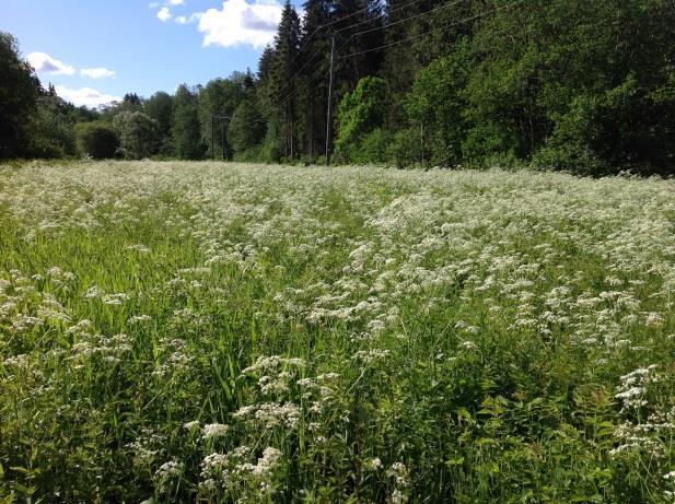 sikres mot oppdeling, gjenbygging og oppsplitting i randsonene.