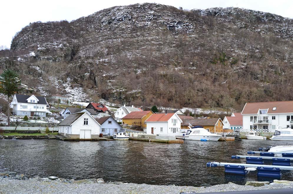 2. naturmiljø 1. Grunnforhold Grunnfjellet i Vikevåg er båndet gneis og amfibolitt. Fra foten av Vikefjellet og nordover finner vi hav/ strandavsetning.