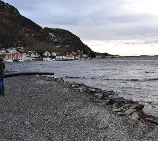 Platået er rikere på løsmasser enn det som er vanlig i kystlyngheiområder i fylket. To arter har her sin eneste norske vokseplass (ekornsvingel og dverg marikåpe).