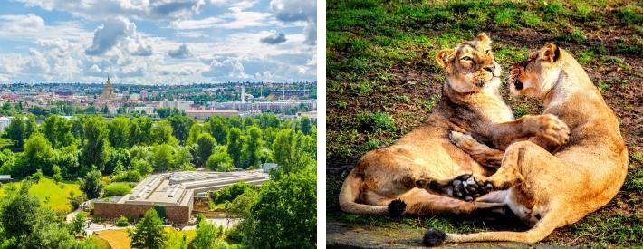 Nydelig beliggende i to nivåer og omgitt av en blanding av grønne marker og klipper, og huser mer enn 500 pattedyr, 600 fugler og 100 krypdyr, så er der lagt opp til en hyggelig dag for hele familien.