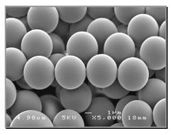 19 b) Organisk polymer-baserte RP-faser Polystyrene latex: 5 Micron Microspheres (Horiba.