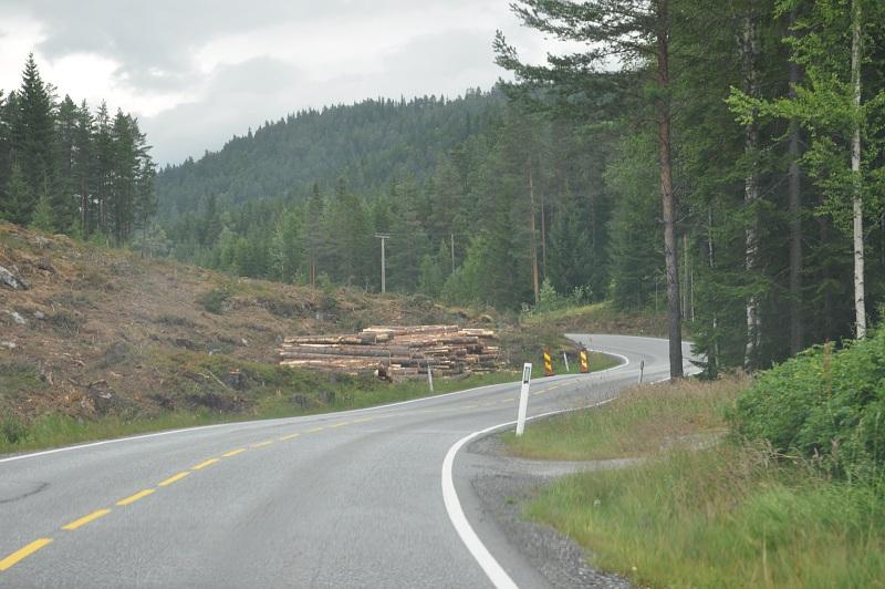 tiltak: En gang i løpet av 5 år Foto: Kjell Wold Naturtyper i ferskvanns-/våtmarksområde Denne hovednaturtypen omfatter alle naturtyper som betinges av