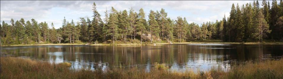 Figur 5-3 Fra Tjønnane på Åneslandheia. Vannet viser en typisk situasjon med mange småvann og myrer. Foto: Marius Fiskevold.