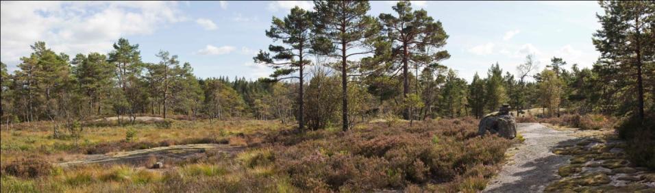 Figur 5-4 Parti fra den merkede turstien mellom Heimdal og Tjønntveit nord for Sandtjønn. Foto: Marius Fiskevold. Figur 5-5 Utsikt østover fra toppen av Heimdalsknuten.